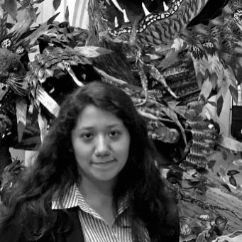 guadalupe chavez